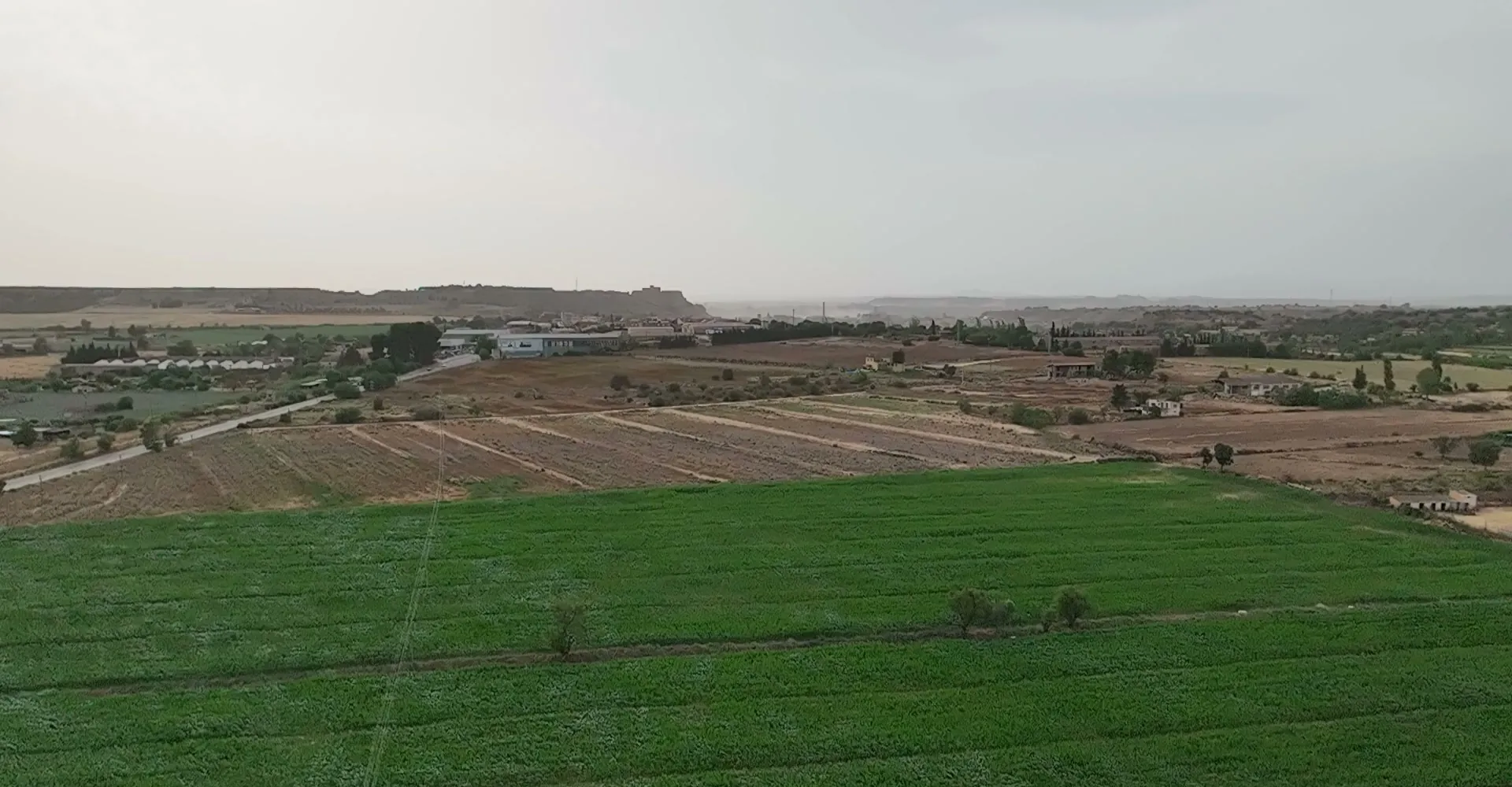 Green and harvested fields over the Monzón field, flat to the horizon